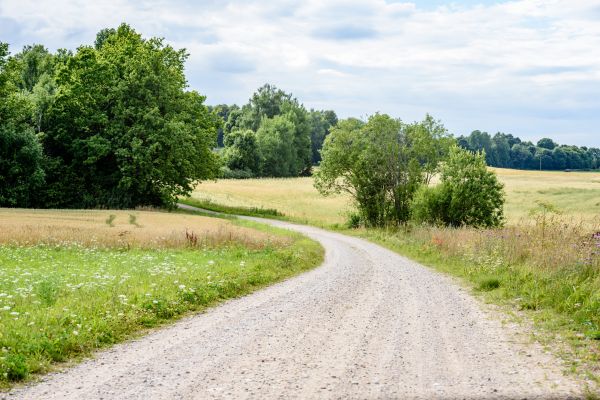 Stone Driveway Repair in Seminole